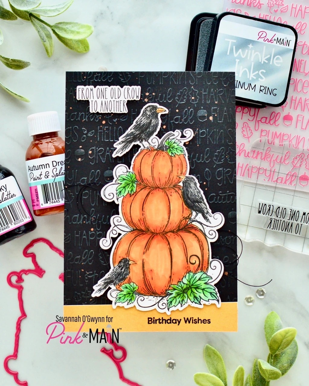 2026 Halloween Kot Dynia Duch  – Photography Jokes recenzja i cena